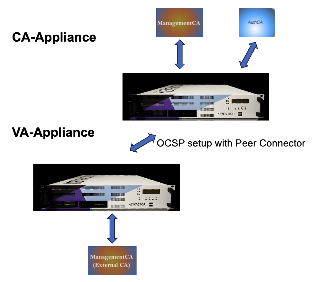 OCSP CA-VA Setup with Peer Connector